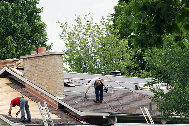 Best Roof Gutter Cleaning  in Kalaheo, HI