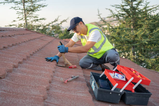 Best Flat Roof Repair Services  in Kalaheo, HI